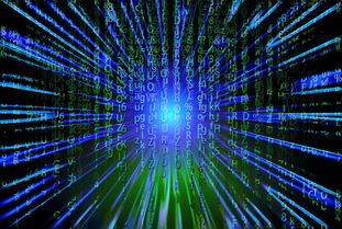 开云电竞登录-新加坡队未来之路：如何在全球乒乓赛事中争夺更多荣誉，新加坡乒乓球厉害吗